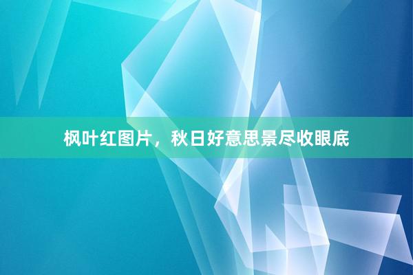 枫叶红图片，秋日好意思景尽收眼底
